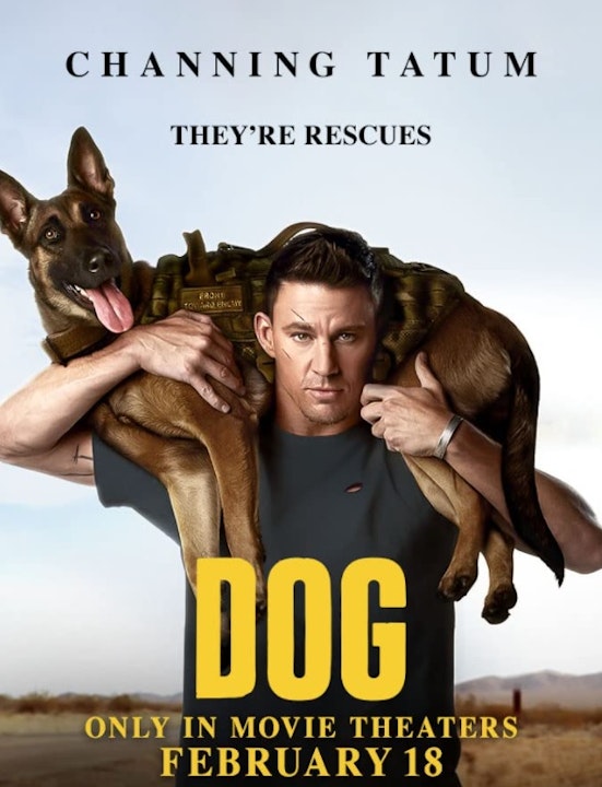 Dog - Movie Review