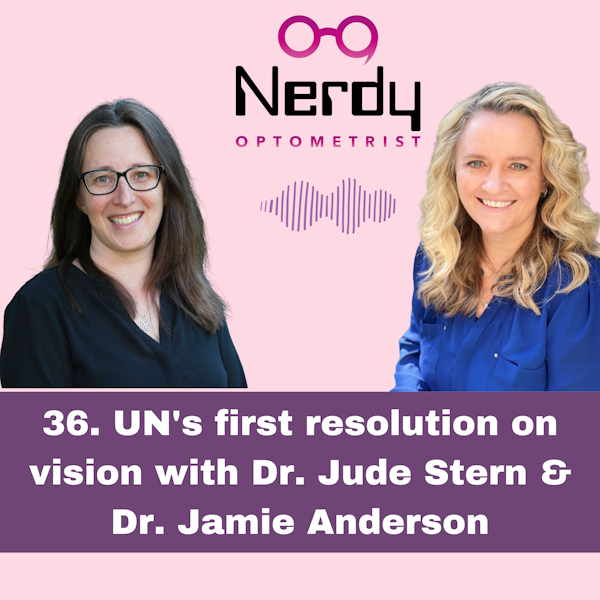 36. UN's first resolution on vision with Dr. Jude Stern & Dr. Jamie Anderson Image
