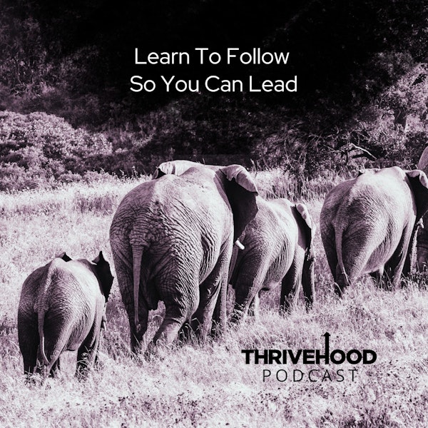 Learn To Follow So You Can Lead Image