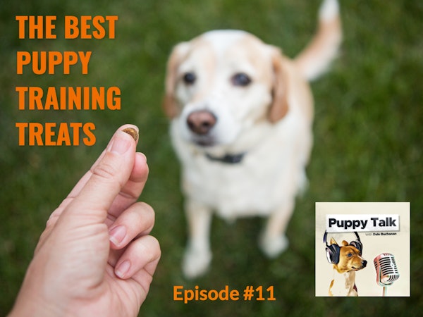 The Best Puppy Training Treats