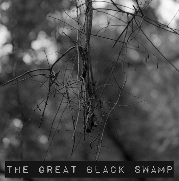 Episode 5: THE GREAT BLACK SWAMP Image