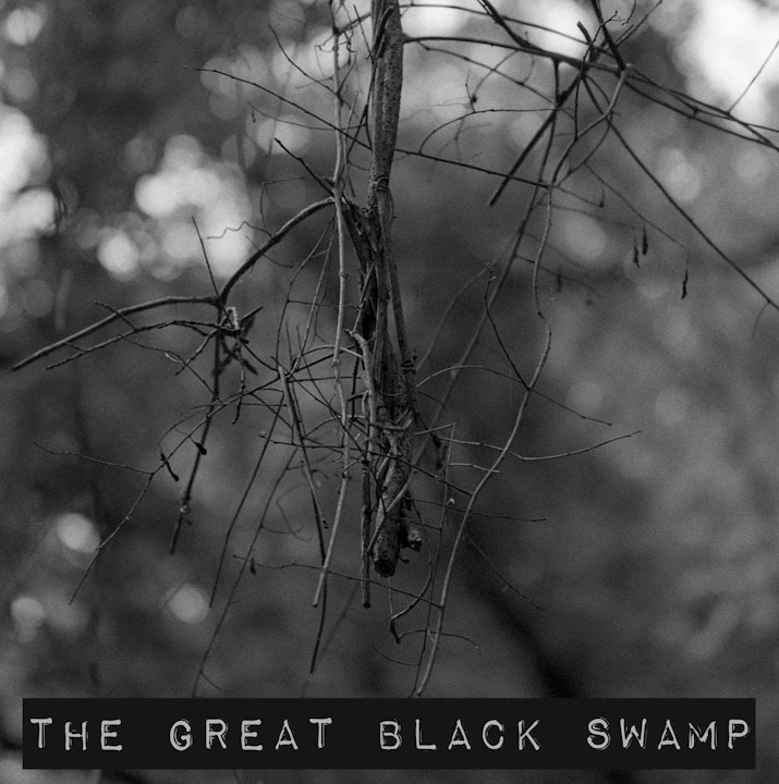 Episode 5: THE GREAT BLACK SWAMP