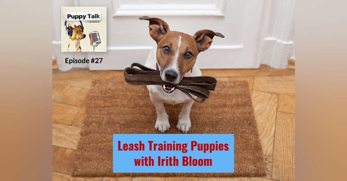 Leash Training Puppies with Irith Bloom