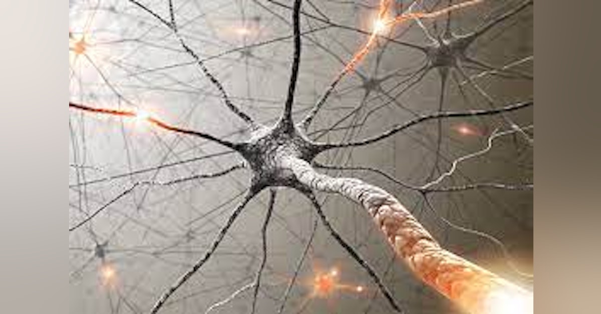 New Neural Pathways in Five Minutes a Day!