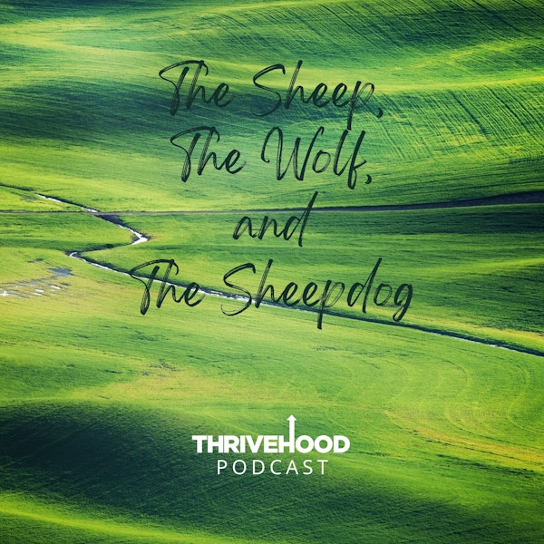 The Sheep, The Wolf, and The Sheepdog Image