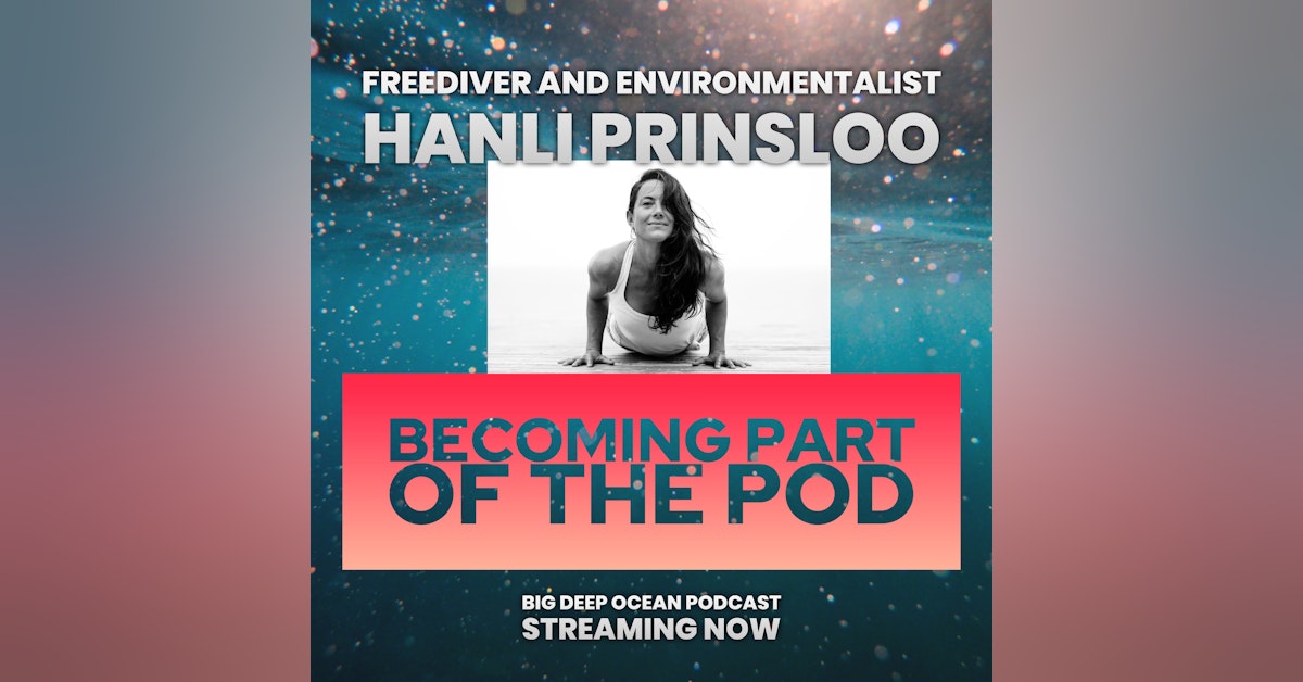 Becoming Part of the Pod: Hanli Prinsloo and how freediving connects her with marine wildlife