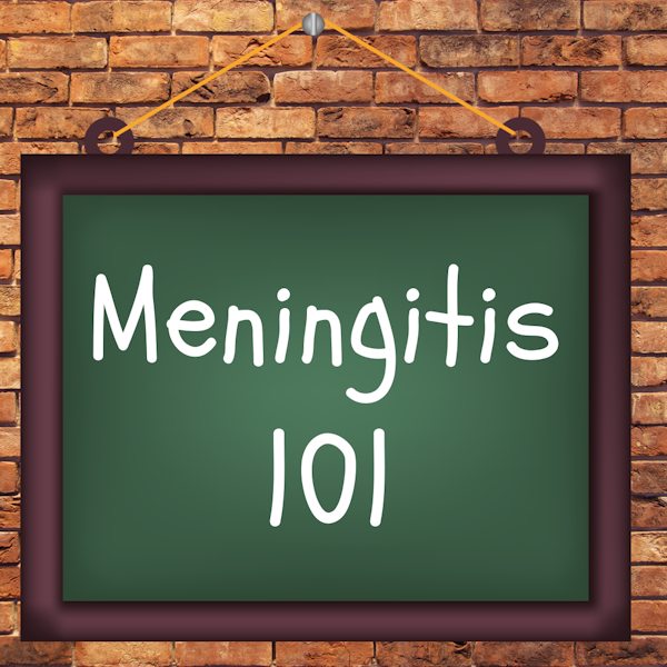Meningitis 101 Image