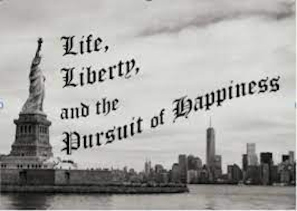 Pursuit of: Life in these United States Image