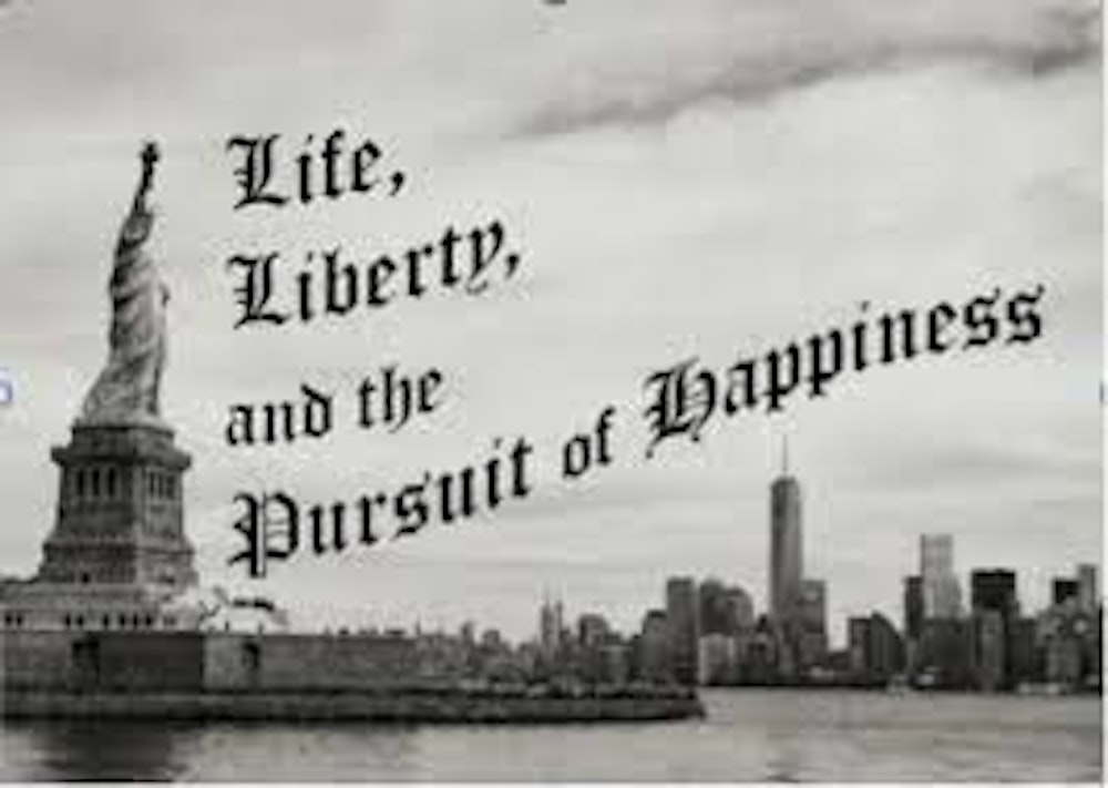 Pursuit of: Life in these United States