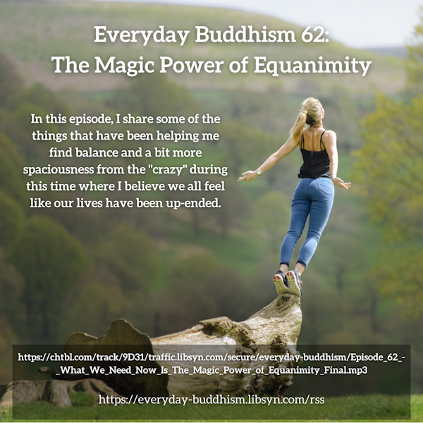 Everyday Buddhism 62 - The Magic Power of Equanimity Image