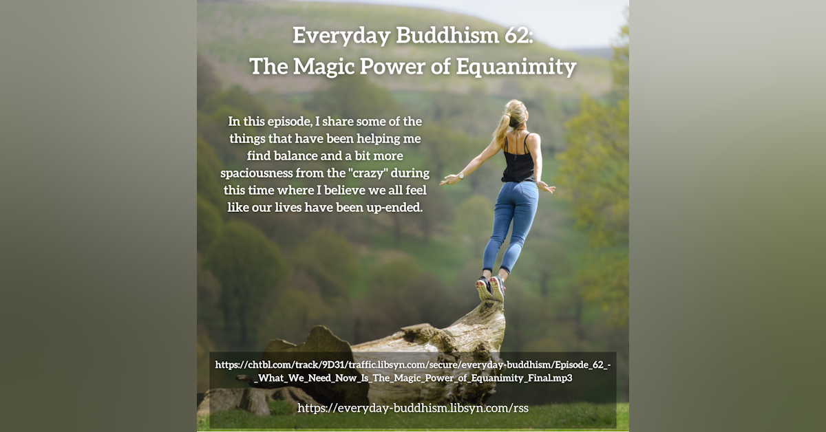 Everyday Buddhism 62 - The Magic Power of Equanimity
