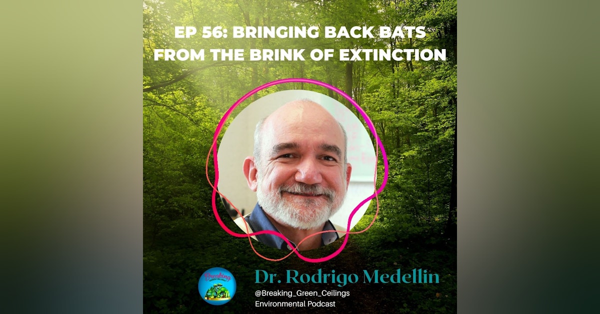 EP 56: Bringing Back Bats From the Brink of Extinction