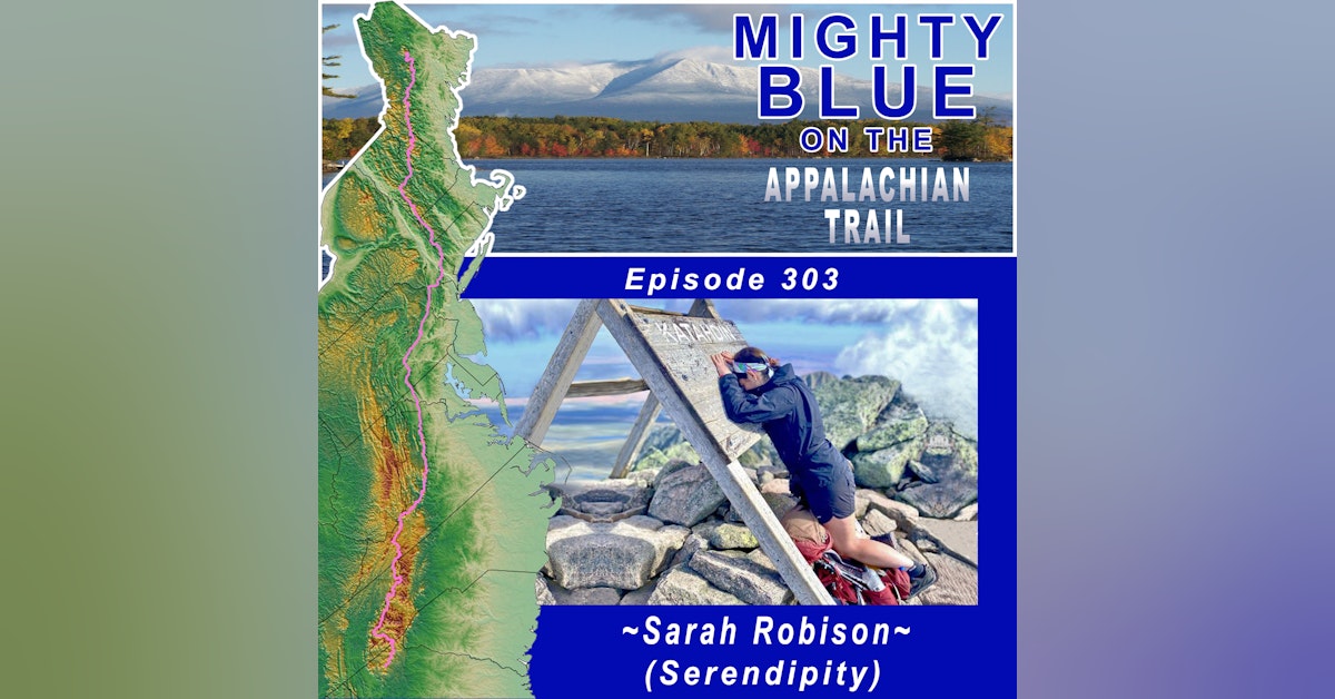 Episode #303 - Sarah Robison (Serendipity)