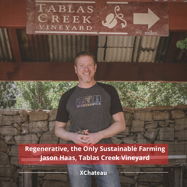 Regenerative, the Only Sustainable Farming w/ Jason Haas, Tablas Creek Vineyard Image