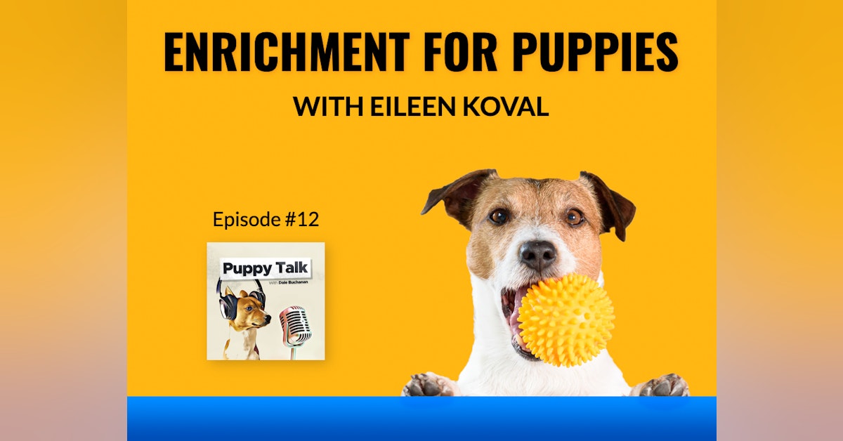 Enrichment For Puppies with Eileen Koval