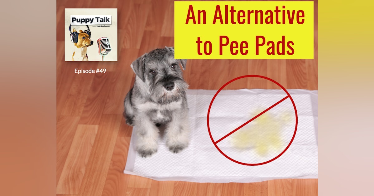 An Alternative to Pee Pads