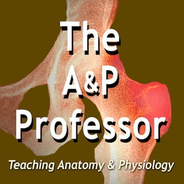 The A&P Professor Image
