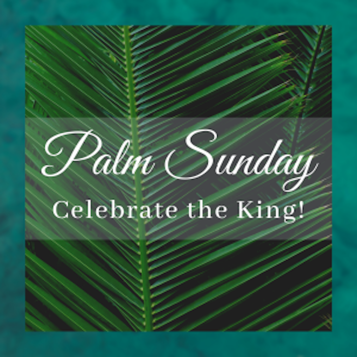 Palm Sunday Amid COVID-19