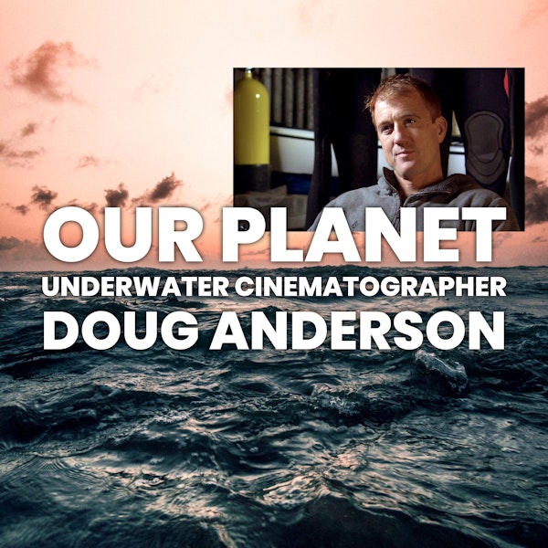 The Wild Place - Underwater cinematographer Doug Anderson on how the ocean has defined his life on films such as "Our Planet", "Frozen Planet", and "Life"