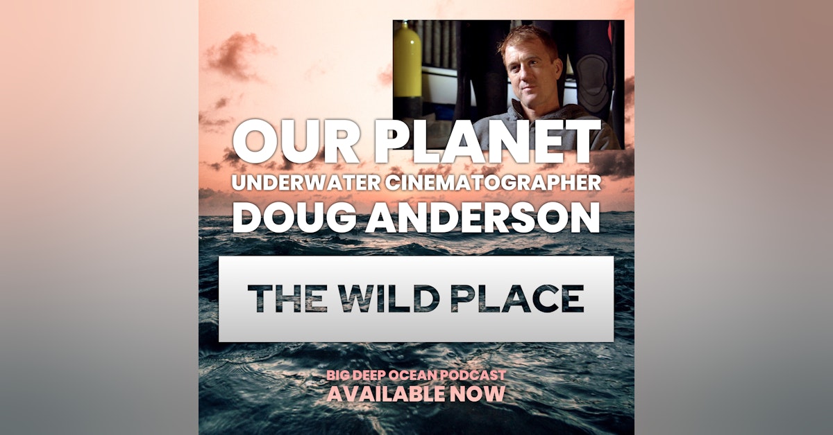 The Wild Place - Underwater cinematographer Doug Anderson on how the ocean has defined his life on films such as "Our Planet", "Frozen Planet", and "Life"