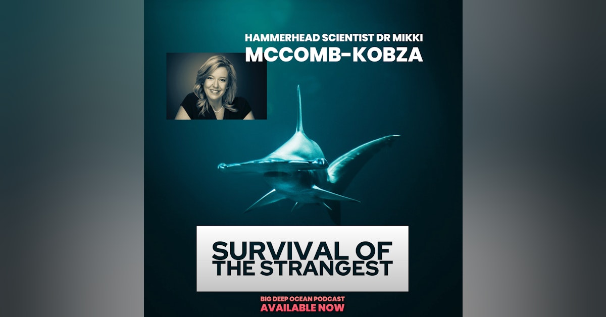 Survival of the Strangest: Mikki McComb-Kobza On Her Passion For The Undersea World of Hammerheads