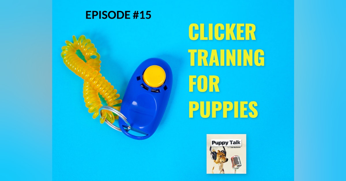 Clicker Training for Puppies