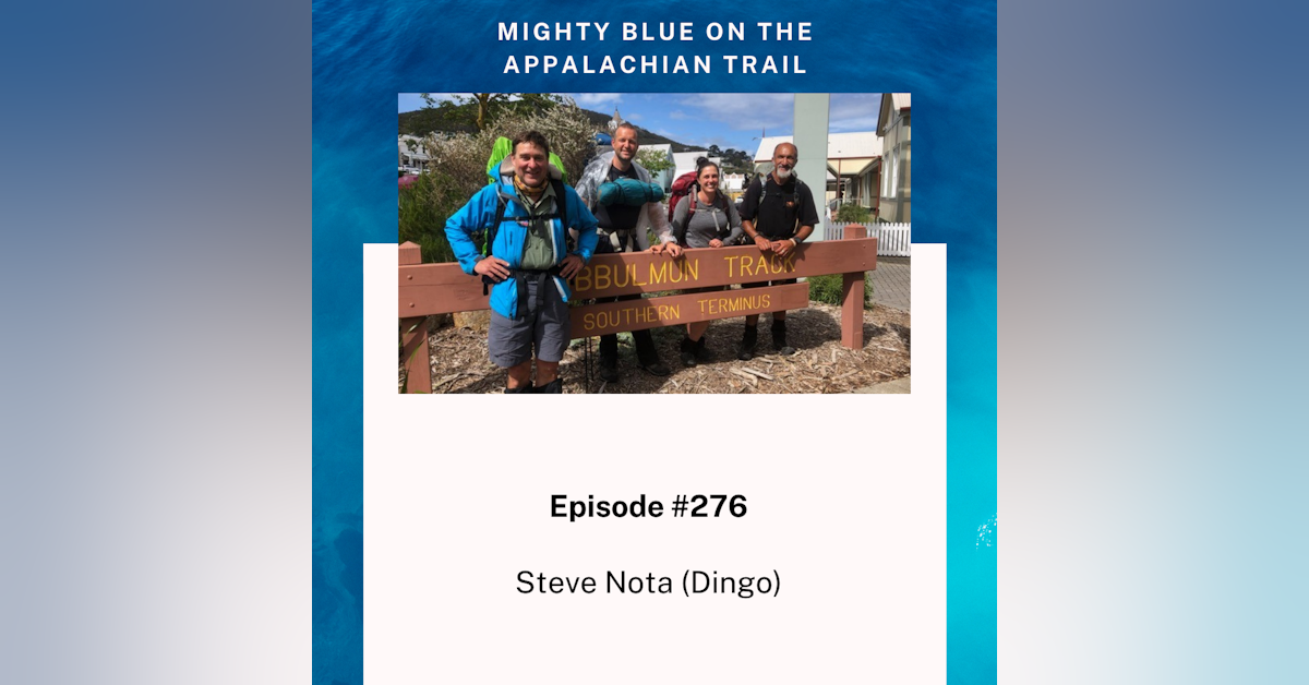Episode #276 - Steve Nota (Dingo)
