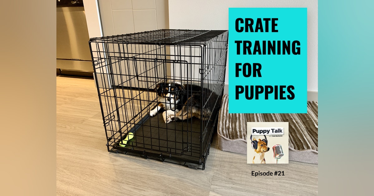 Crate Training for Puppies