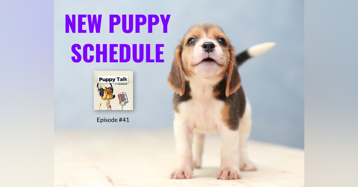New Puppy Schedule