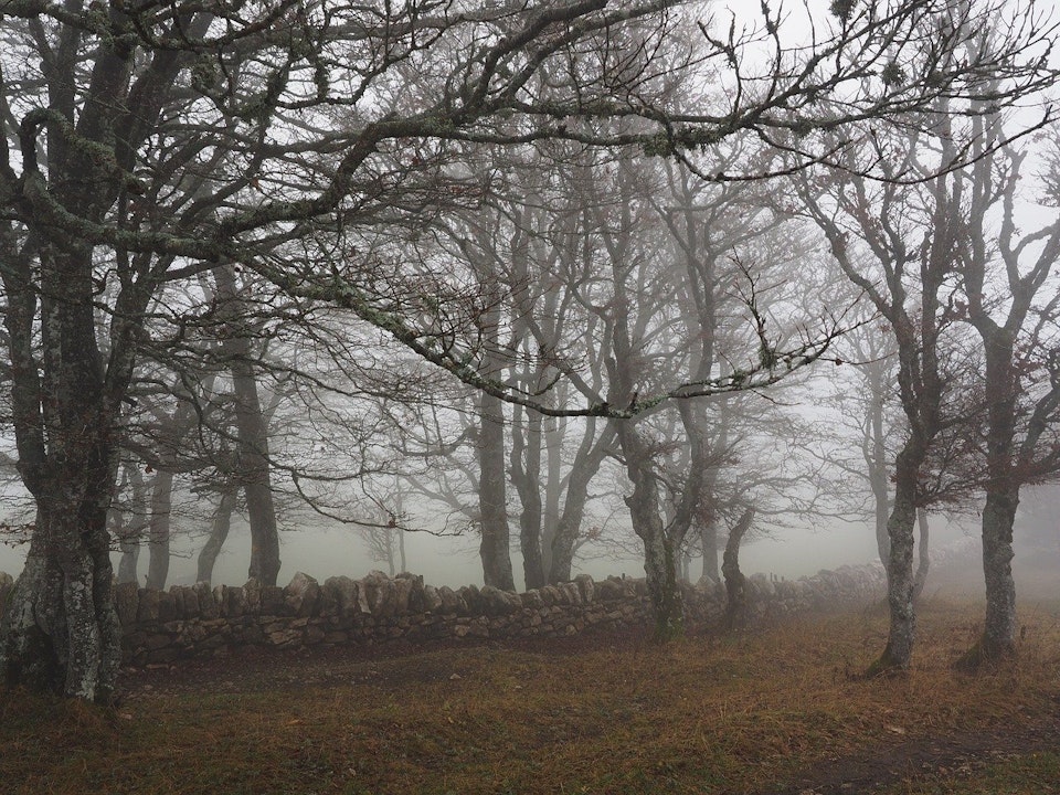 Haunted Burial Mounds