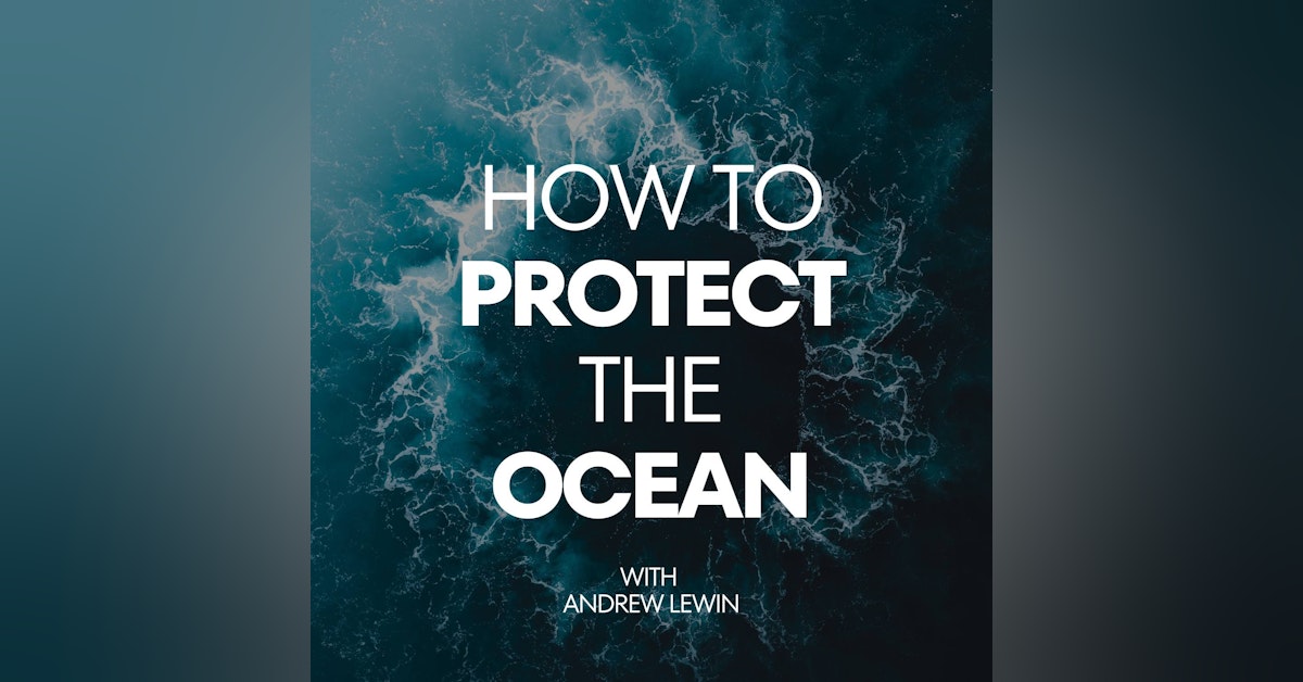 How I plan to protect the ocean in 2023