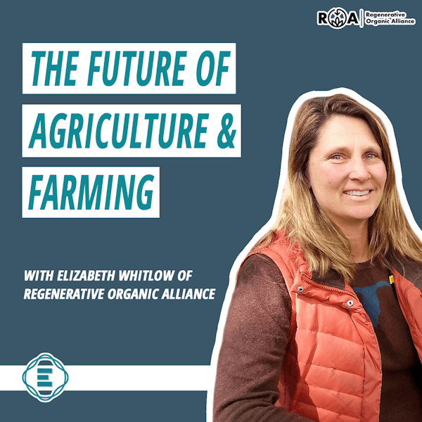 #219 - How Regenerative Organic Certification is the Future of Agriculture & Farming, with Elizabeth Whitlow of the Regenerative Organic Alliance [REPOST] Image