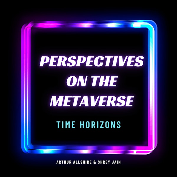 Perspectives on the Metaverse