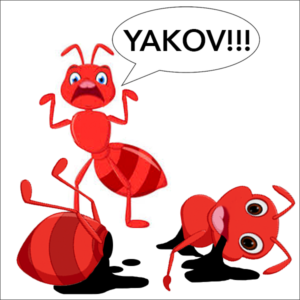 Episode 408: Yakov the Ant Image