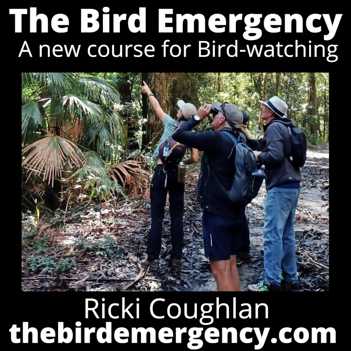 A new course for birdwatching with Ricki Coughlan