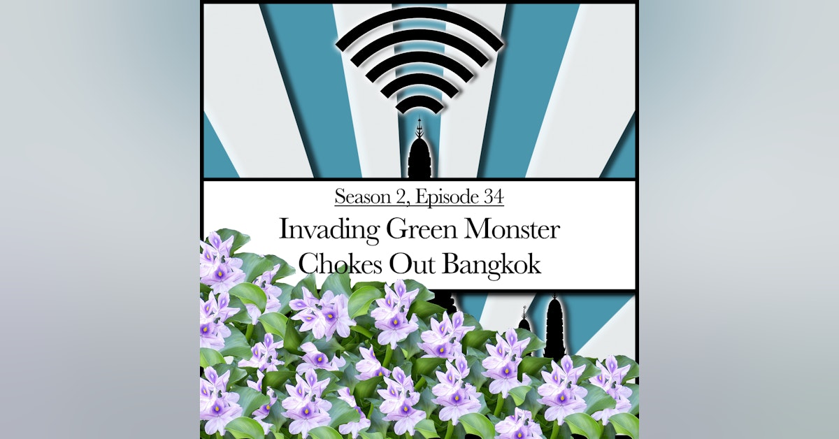 Invading Green Monster Chokes Out Bangkok (2.34)