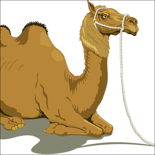 Episode 452: Great Camel Cliches Image