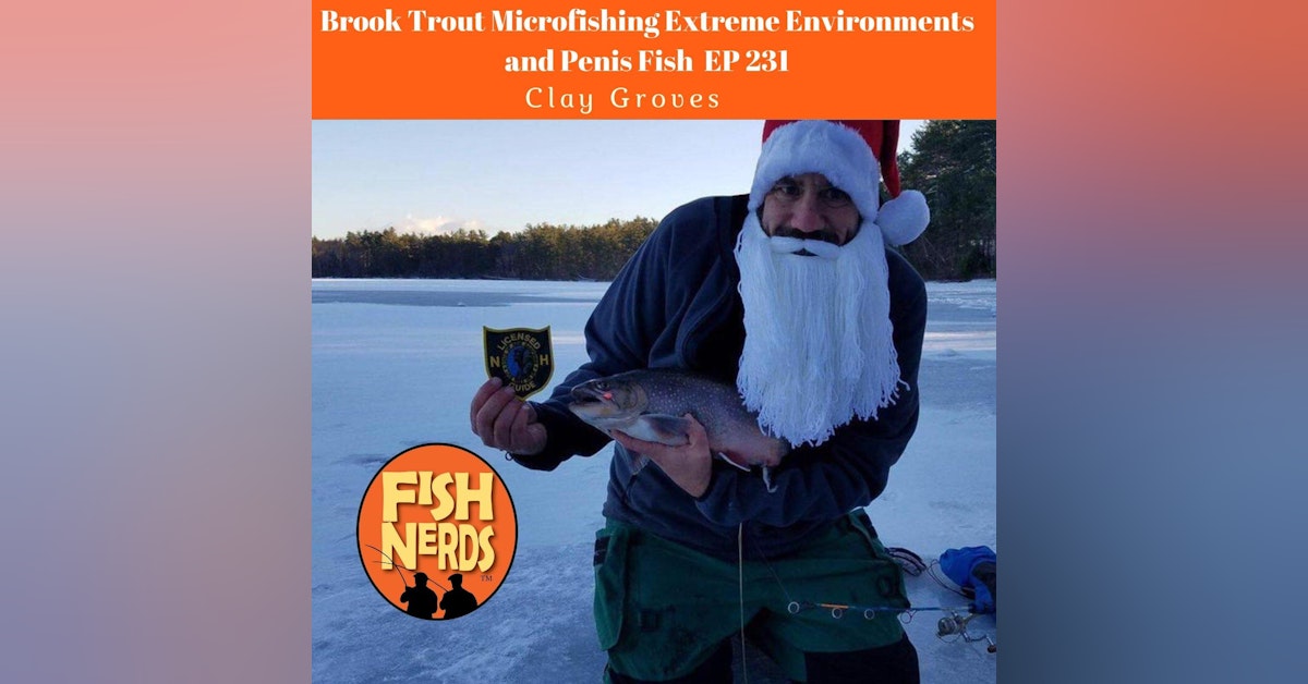 Brook Trout Microfishing Extreme Environments and Penis Fish