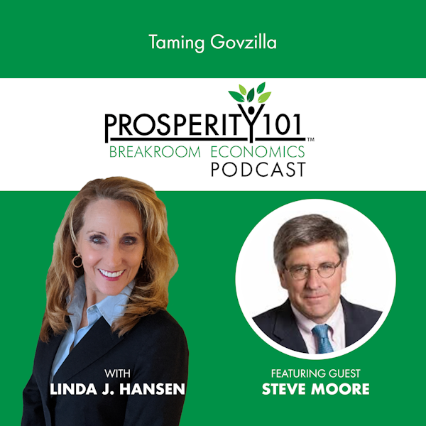Taming Govzilla – with Steve Moore – [Ep.105]