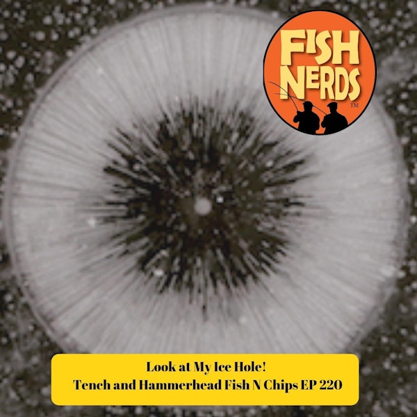 Look at My Ice Hole! Tench and Hamerhead Fish N Chips EP 220