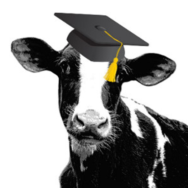 Episode 503: Cow College Image