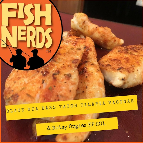 Black Sea Bass Tacos Tilapia Vaginas and Noisy Orgies