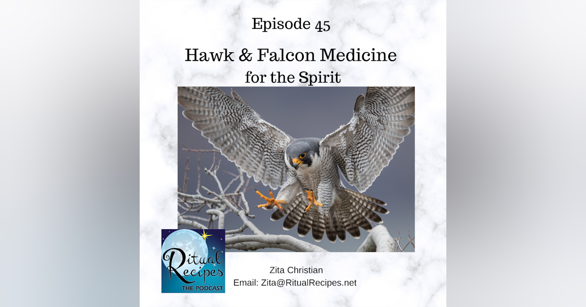 Spiritual Medicine of the Hawk and Falcon