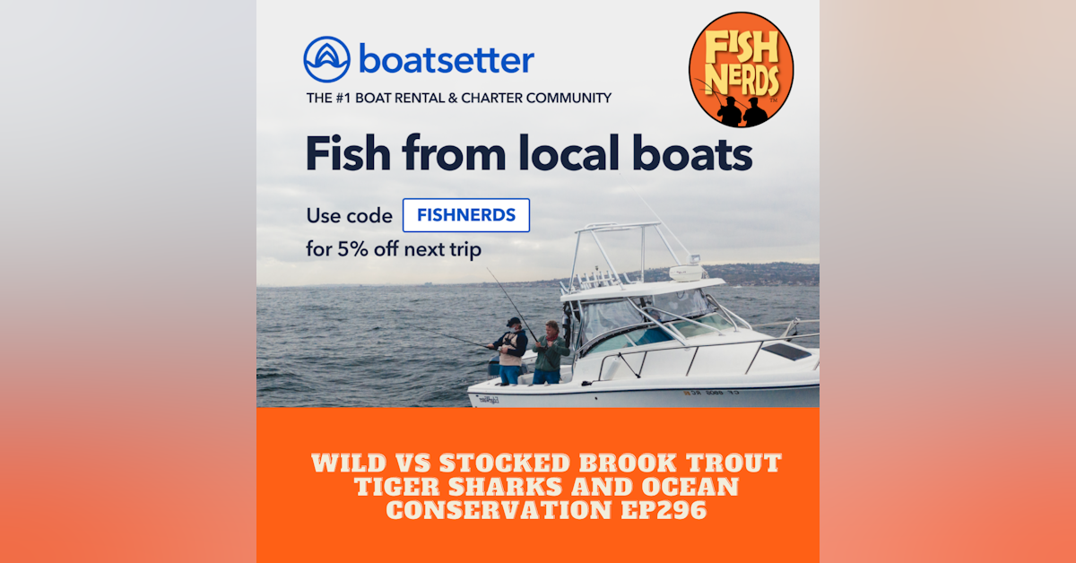 Wild vs Stocked Brook Trout Tiger Sharks and Ocean Conservation ep 286