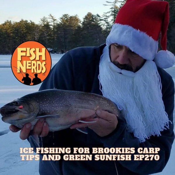 Ice Fishing for Brookies Carp Tips and Green Sunfish EP270