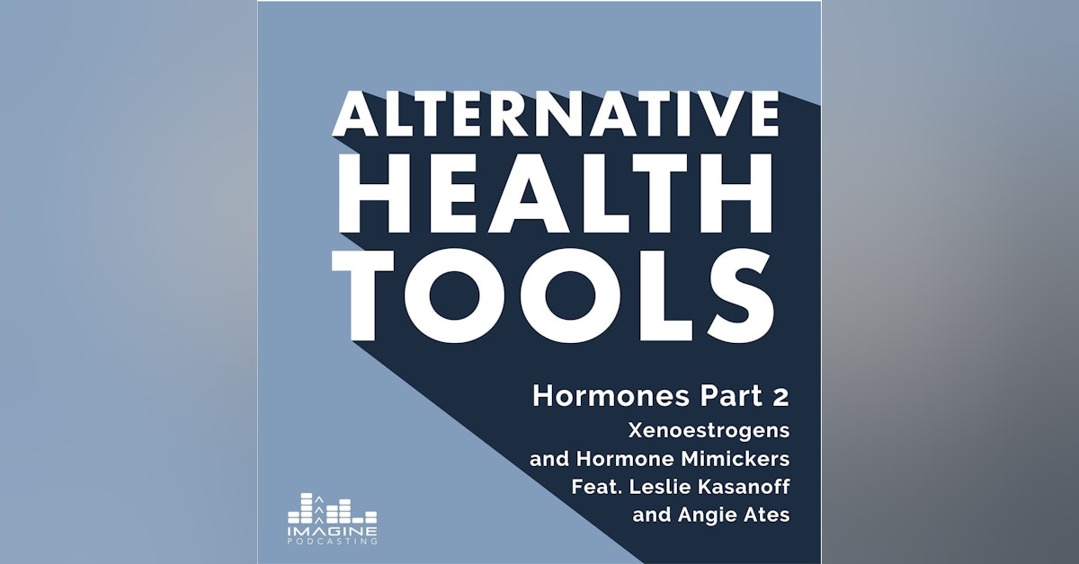 156 Hormones Part 2, Xenoestrogens and Hormone Mimickers feat. Leslie Kasanoff and Angie Ates