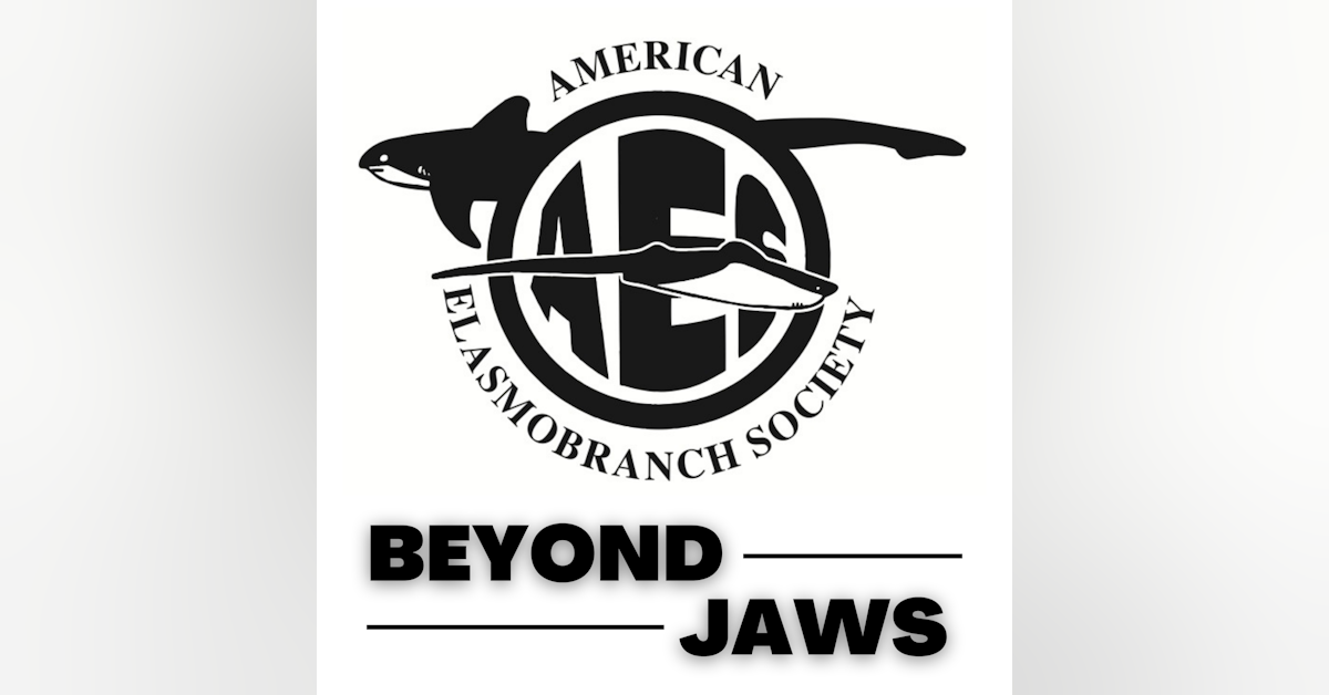 Beyond Jaws and into Shark Science