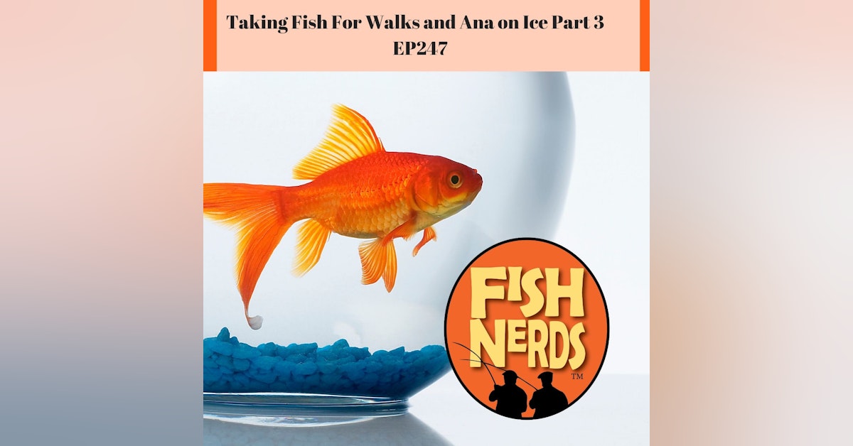 Taking a Fish for a Walk and Ana on Ice Part 3 EP 247