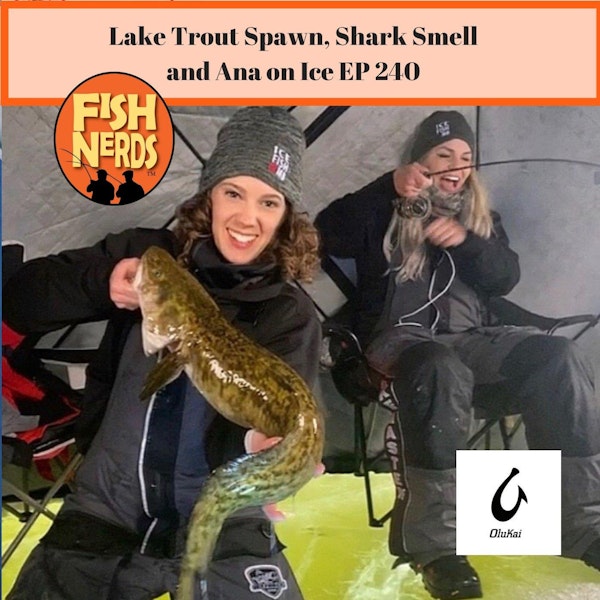 Lake Trout Spawn, Shark Smell and Ana on Ice EP 240