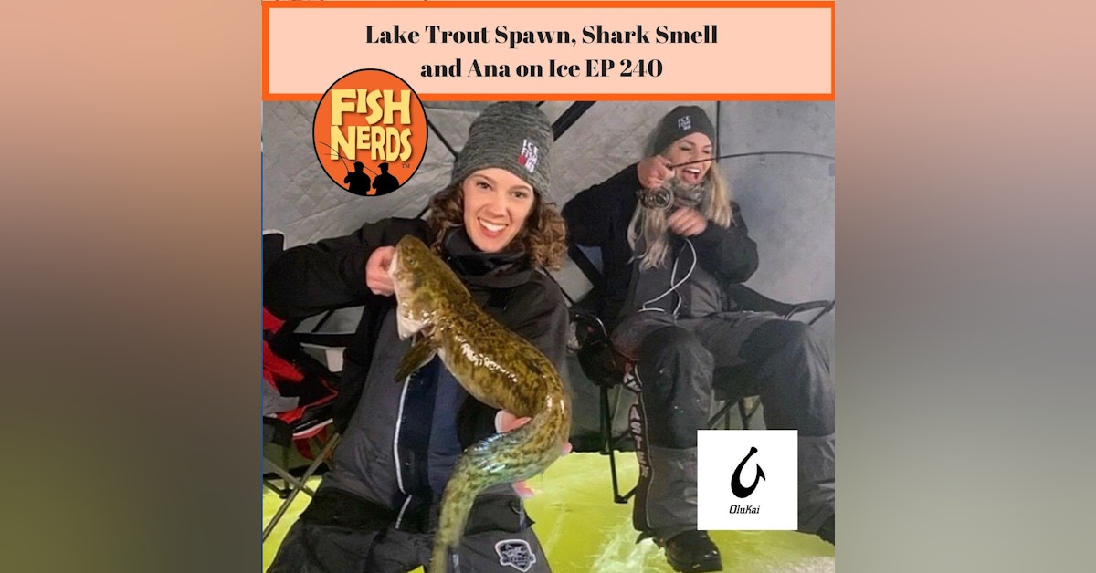 Lake Trout Spawn, Shark Smell and Ana on Ice EP 240